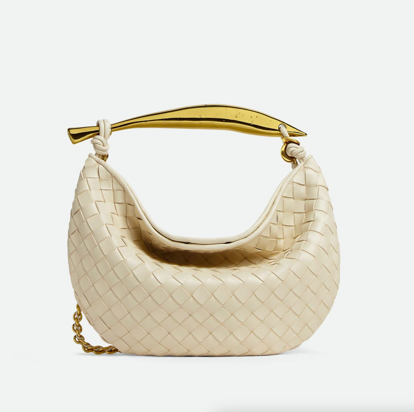 Bottega Veneta Sardine Bag.